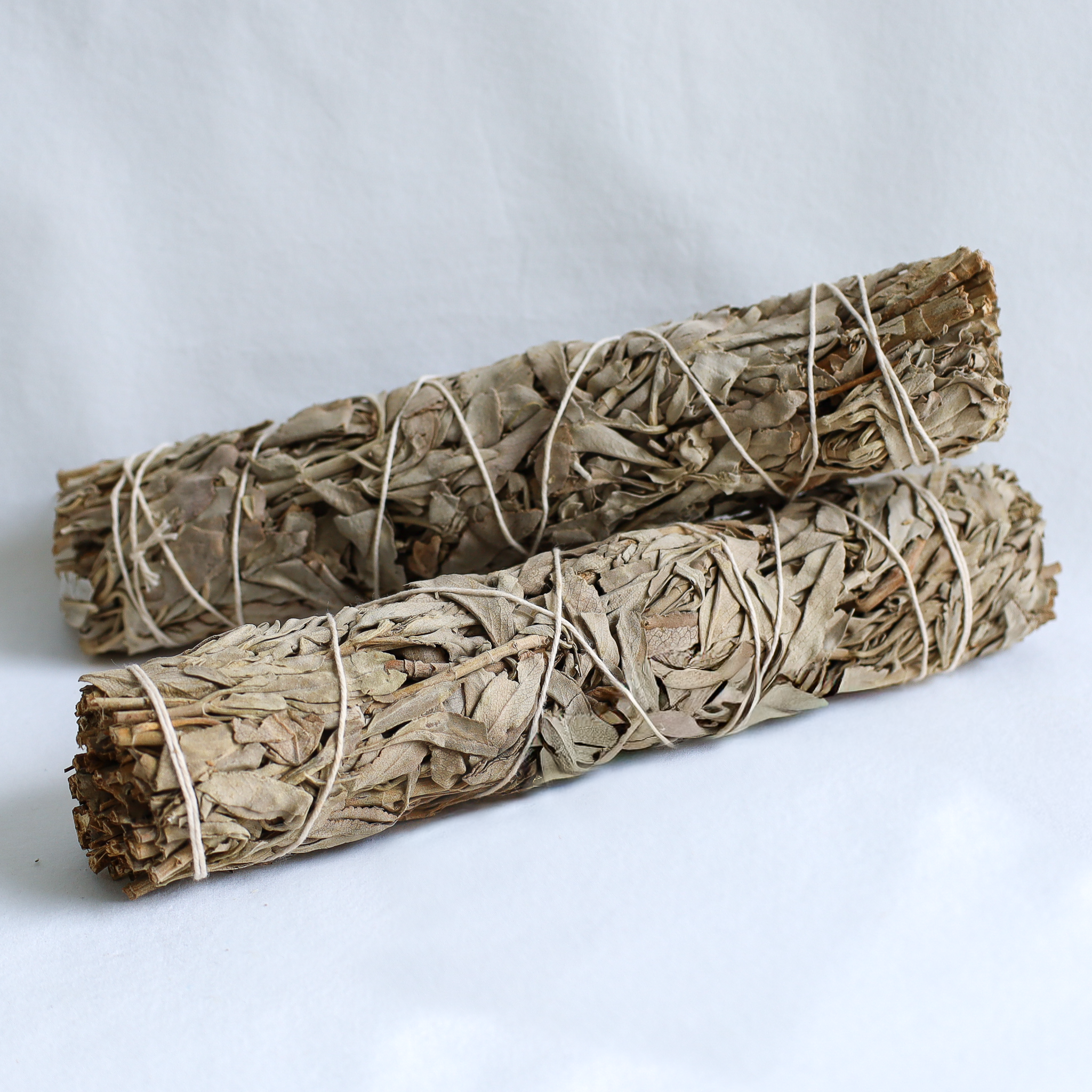 White California Sage 9 inches